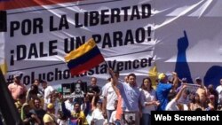 Carlos Vecchio (bandera) dijo presente en la marcha opositora.