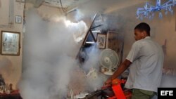 Un hombre fumiga una vivienda como parte de la campaña contra el mosquito "Aedes aegipti", transmisor del dengue. Foto de archivo