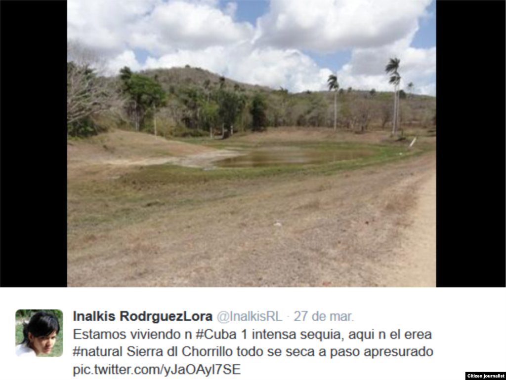 Inalkis Rodríguez en defensa de la naturaleza